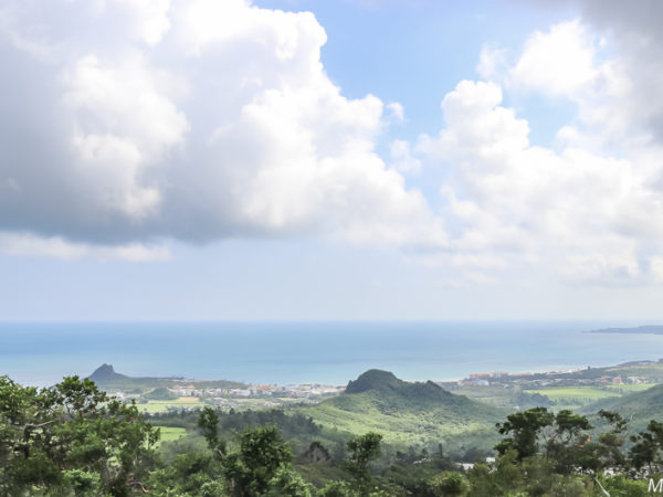 View From the Parking Lot