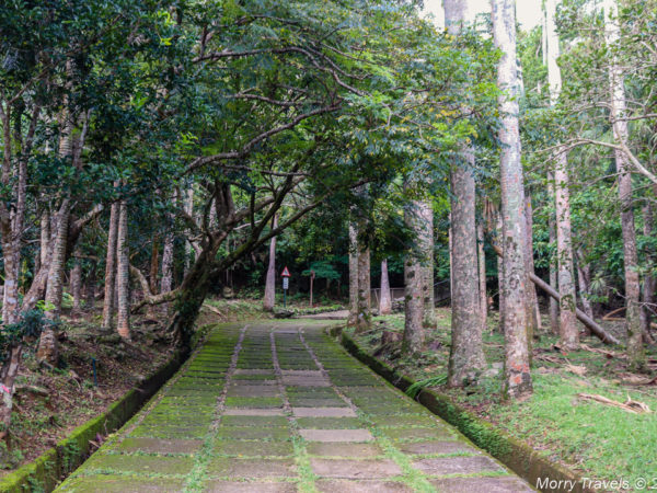 Walkways Were Not Taken Care of
