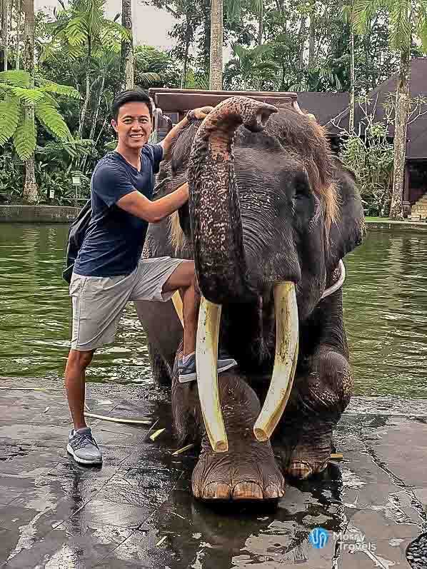 Elephant Safari Sanctuary Lodge Ubud Bali