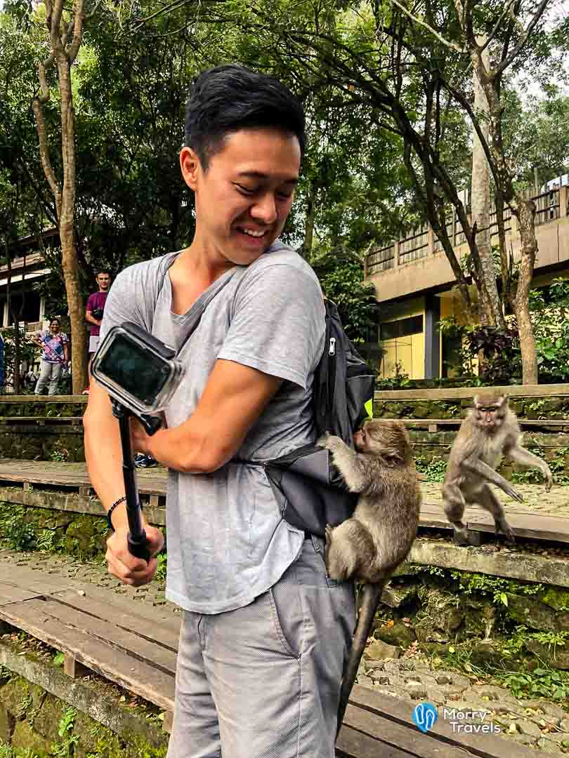 Monkey Forest Ubud Bali Indonesia