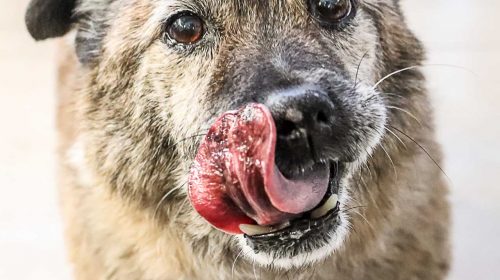 Morry Travels 2018 Wrap-Up | Family